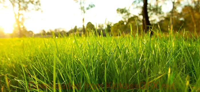 靠谱的充值渠道求的cc攻击免费网页版